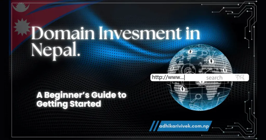 Domain Investment In Nepal beginners guide